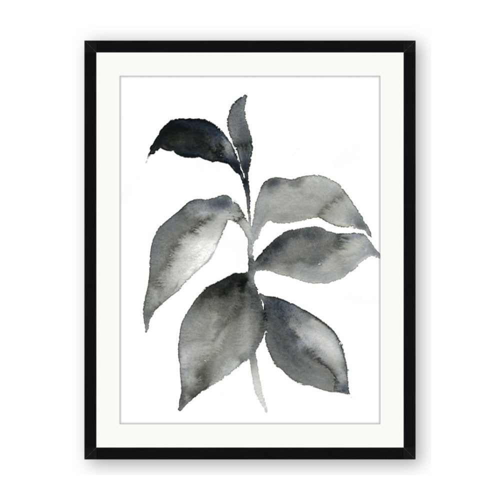 Black Watercolour Botanical II