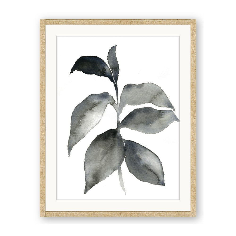 Black Watercolour Botanical II