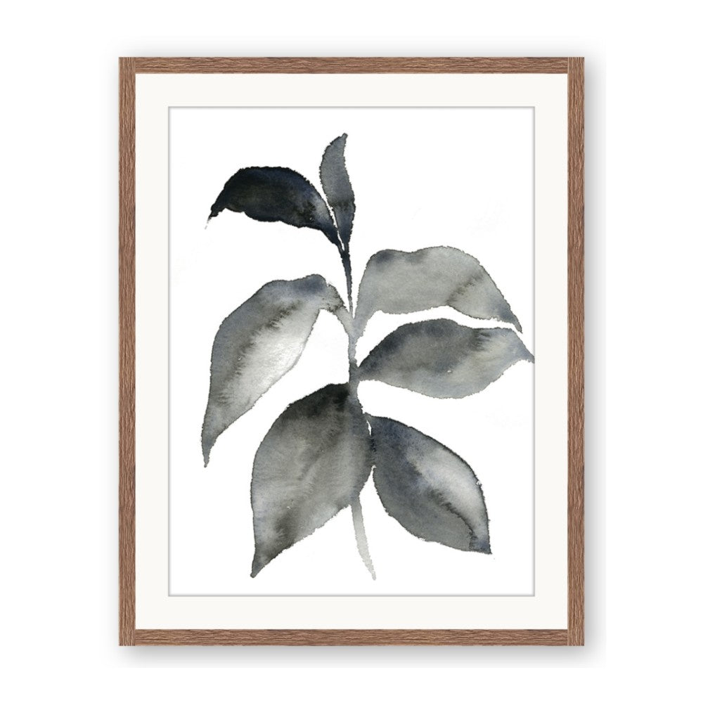 Black Watercolour Botanical II