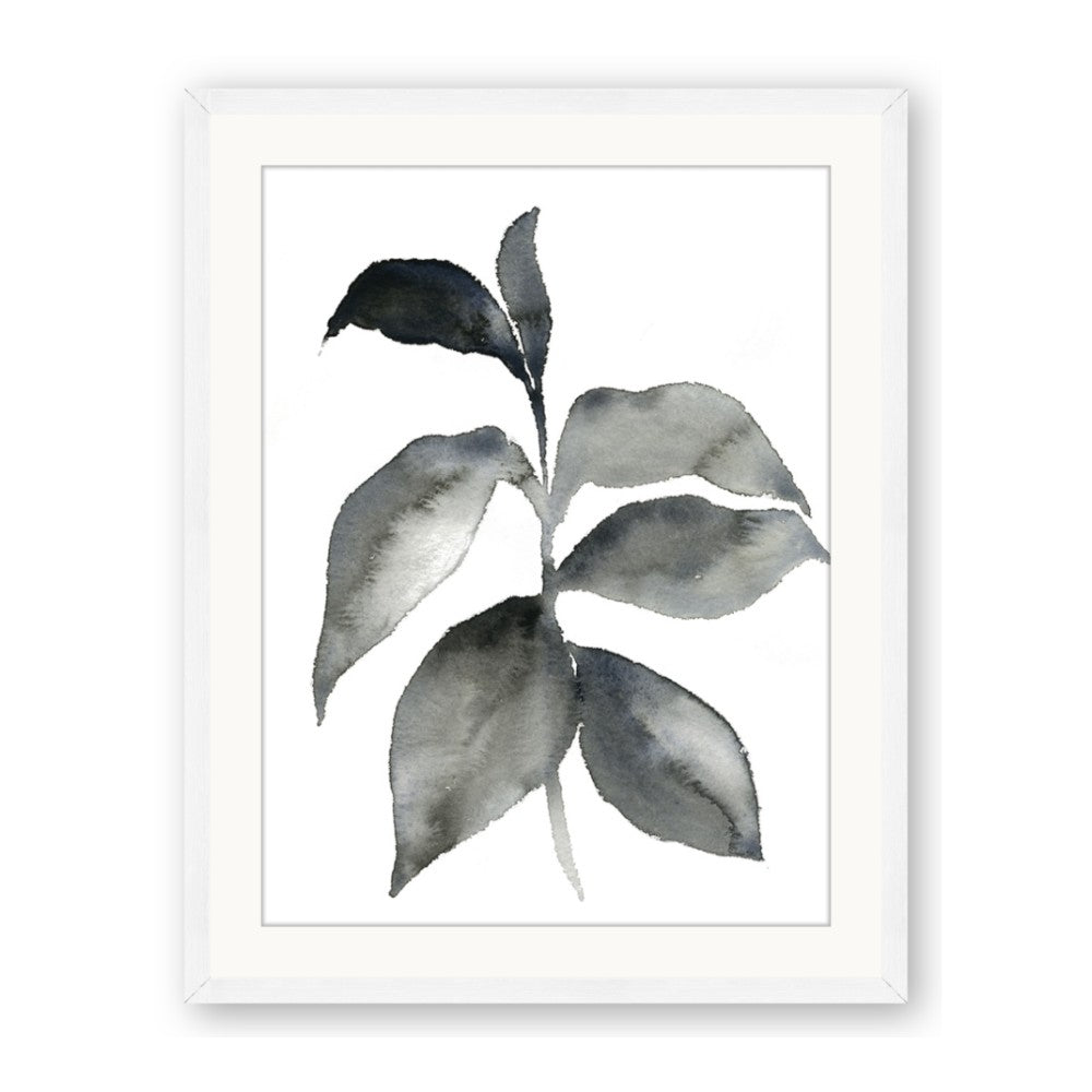 Black Watercolour Botanical II