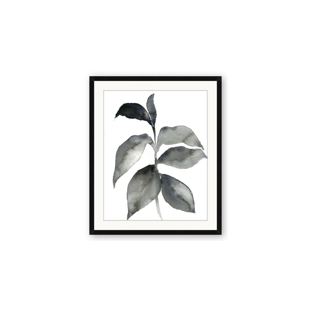 Black Watercolour Botanical II