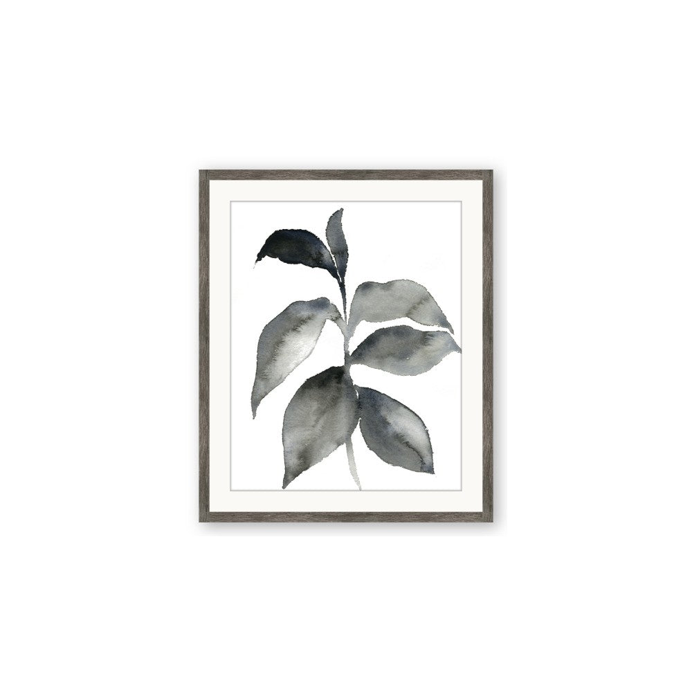 Black Watercolour Botanical II