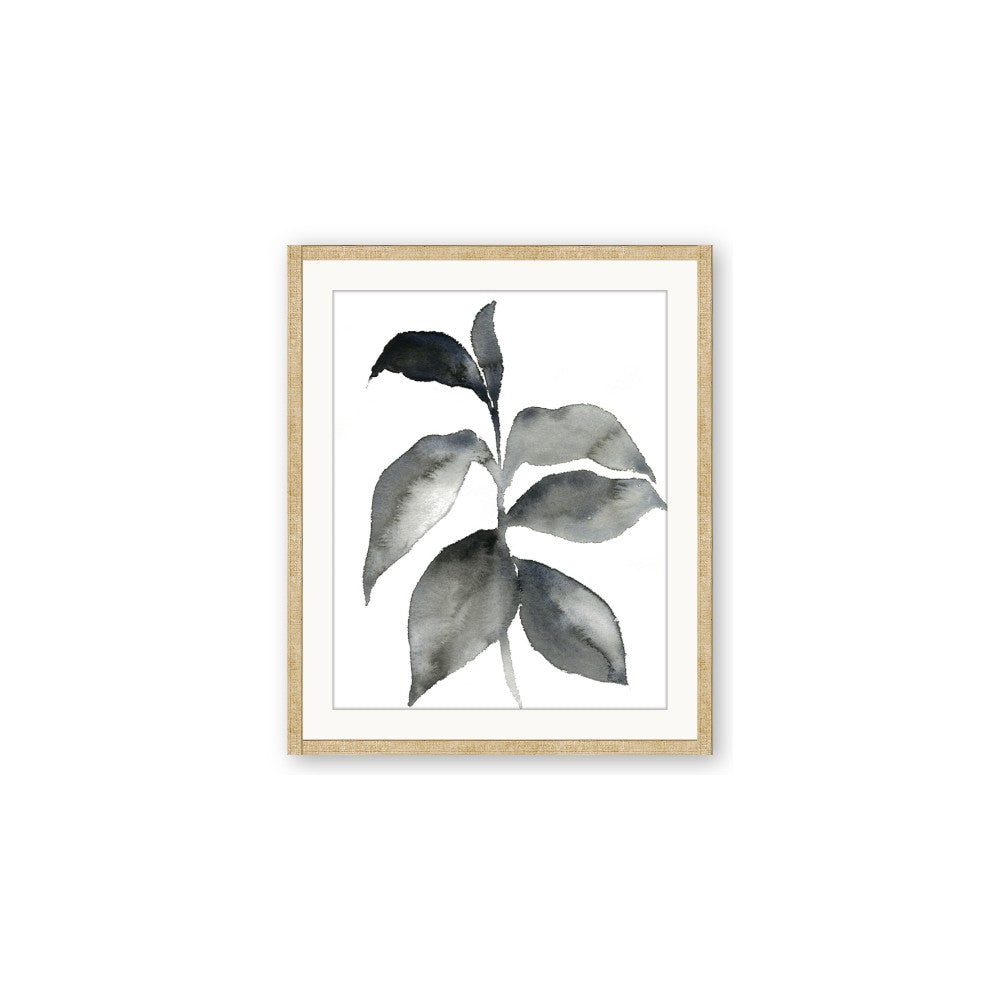 Black Watercolour Botanical II
