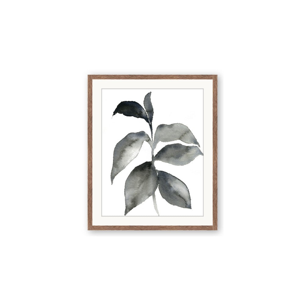Black Watercolour Botanical II