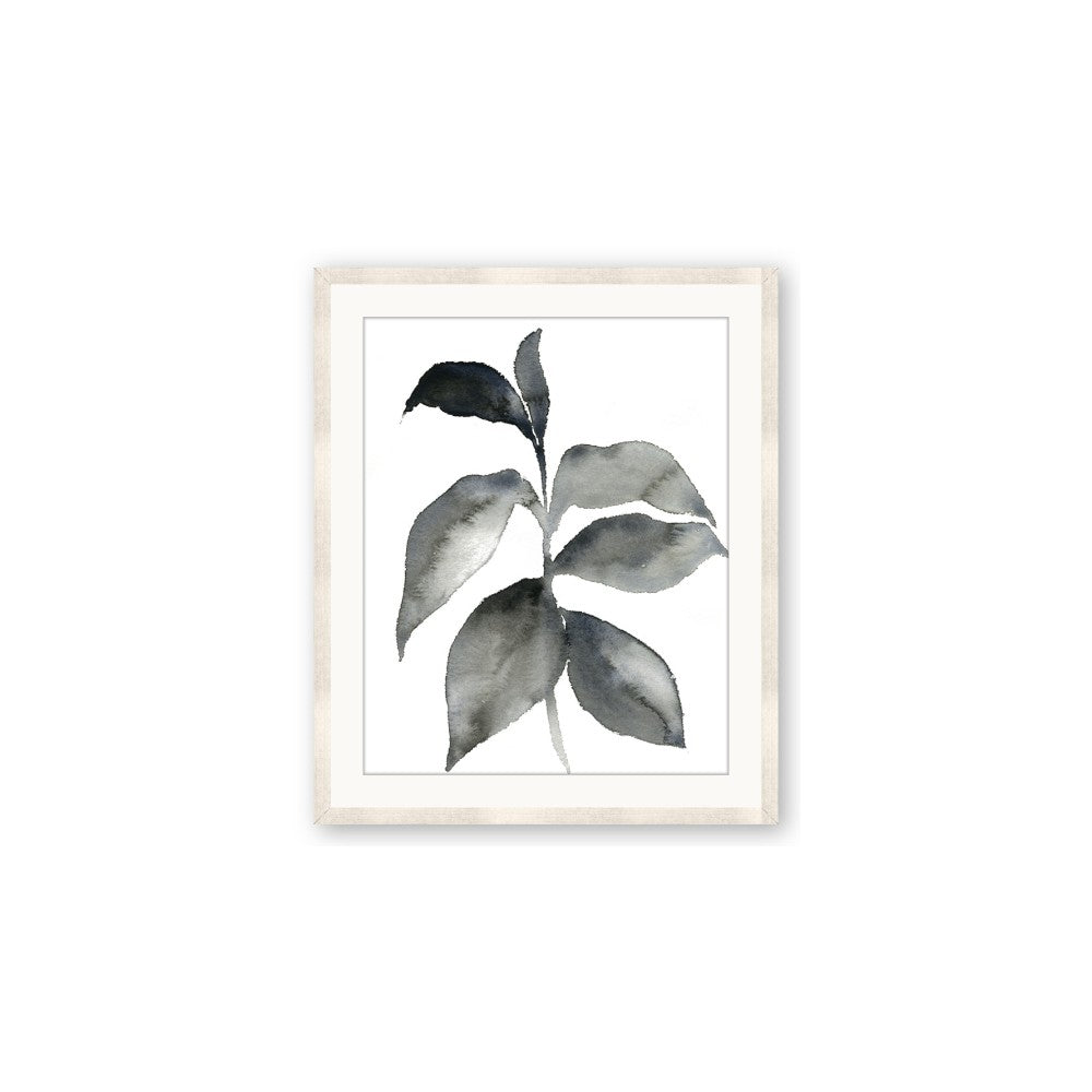 Black Watercolour Botanical II