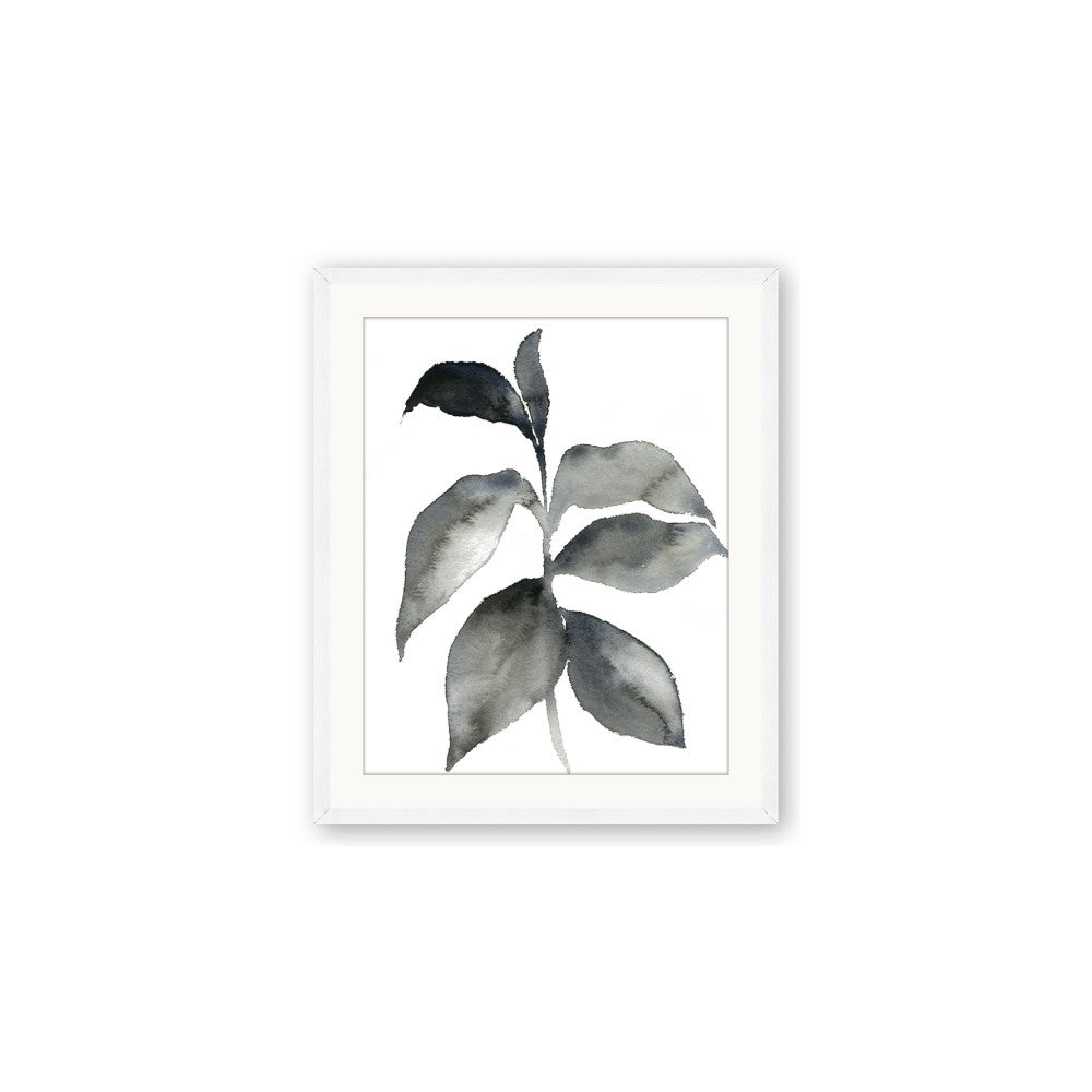 Black Watercolour Botanical II