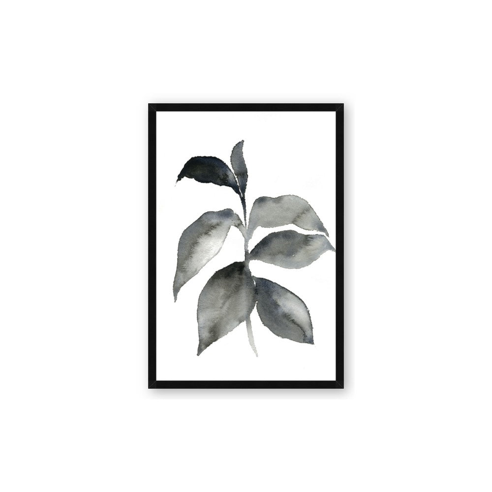 Black Watercolour Botanical II