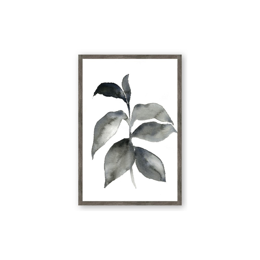 Black Watercolour Botanical II
