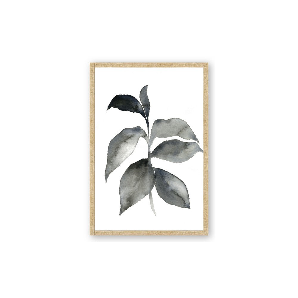 Black Watercolour Botanical II