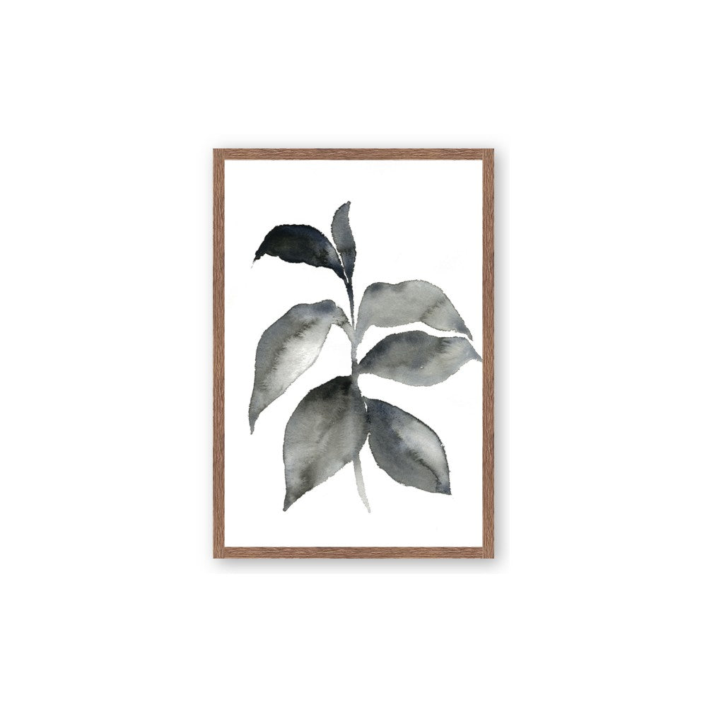 Black Watercolour Botanical II