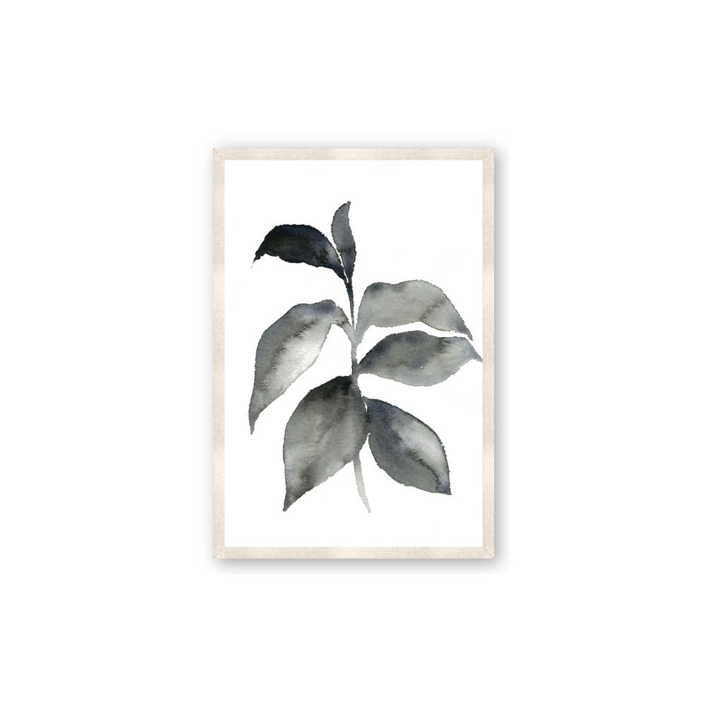 Black Watercolour Botanical II