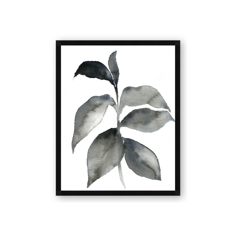 Black Watercolour Botanical II