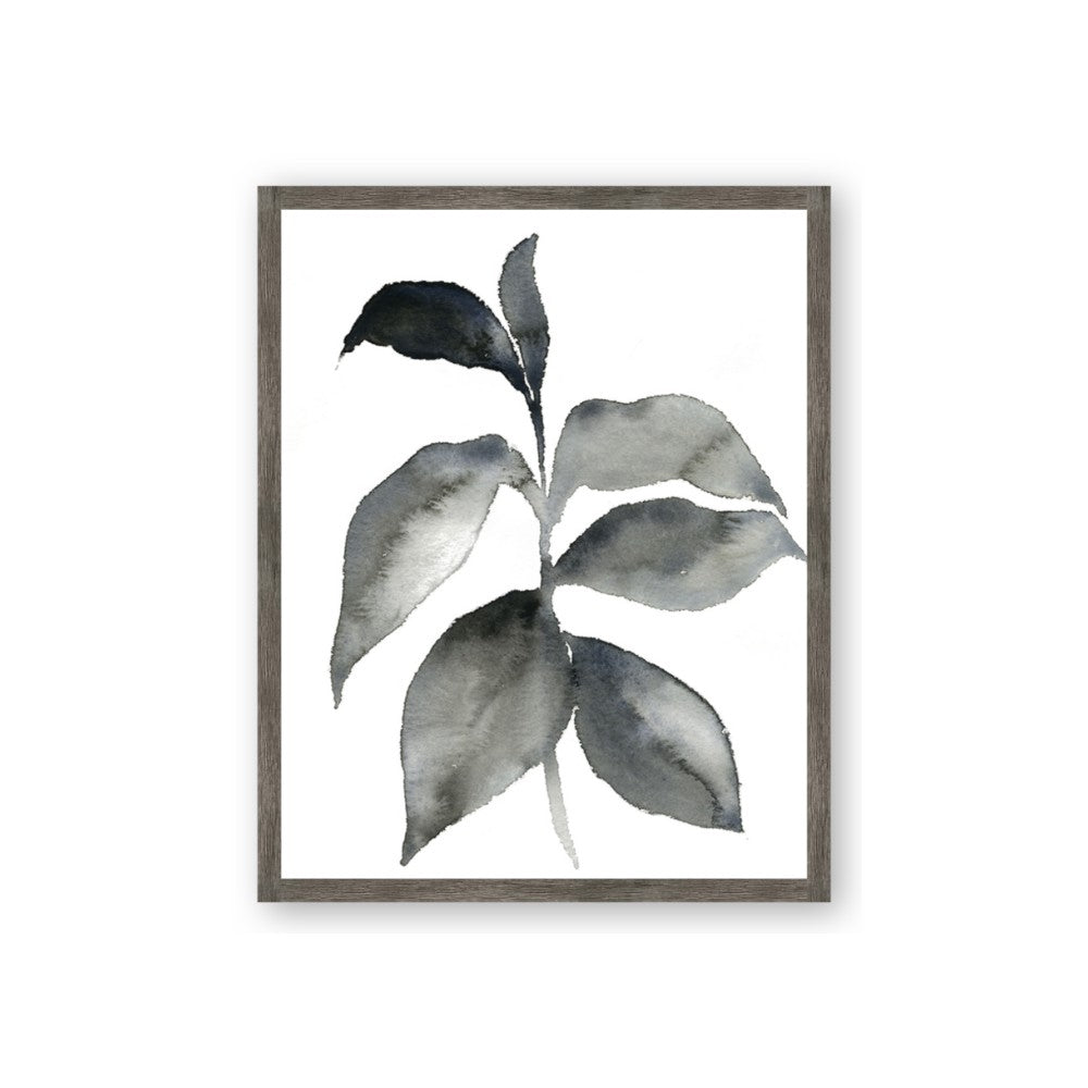 Black Watercolour Botanical II