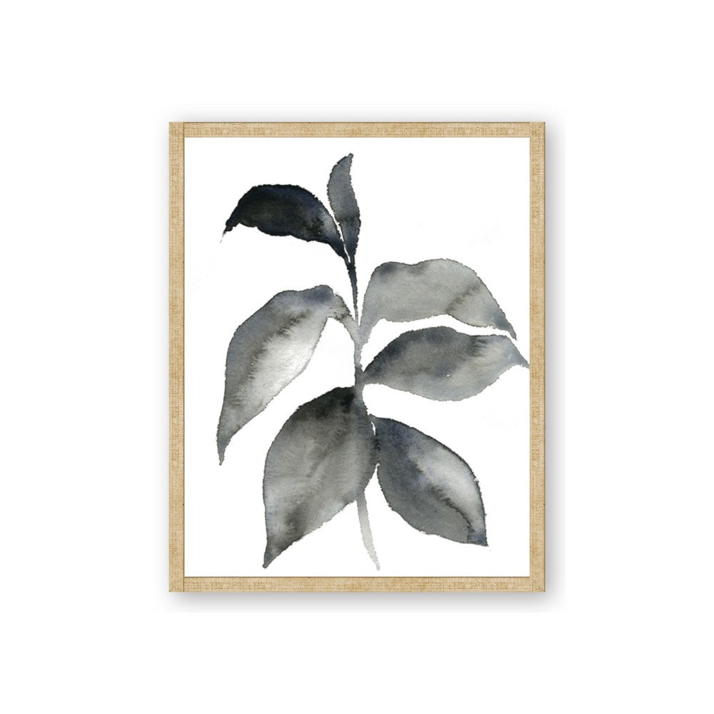Black Watercolour Botanical II