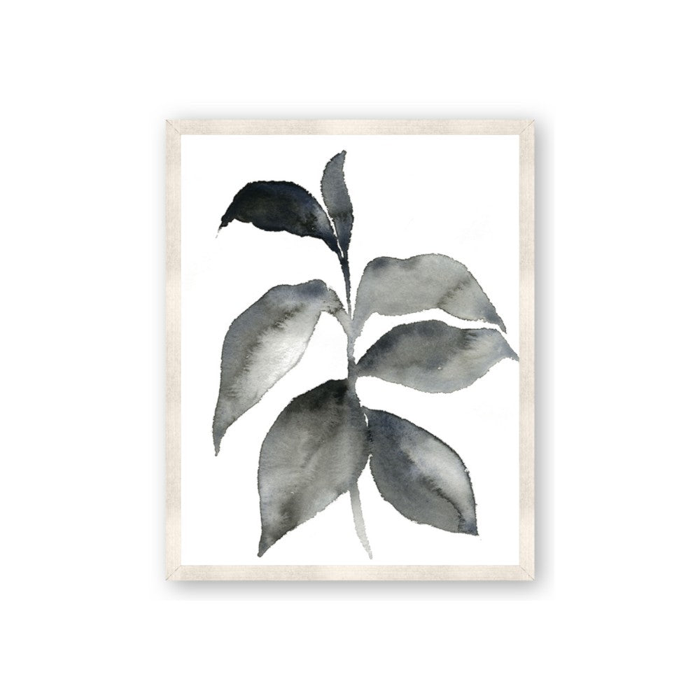 Black Watercolour Botanical II