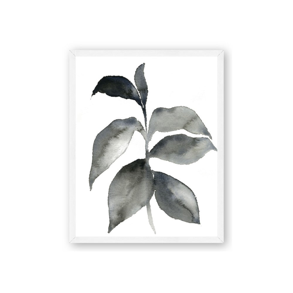 Black Watercolour Botanical II