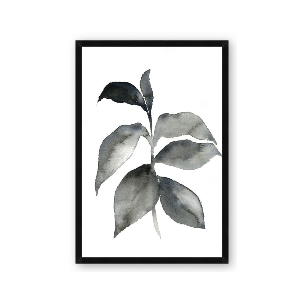 Black Watercolour Botanical II