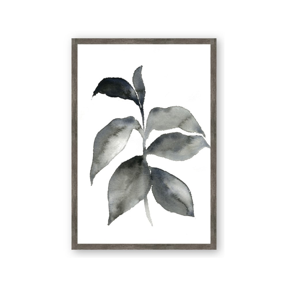 Black Watercolour Botanical II