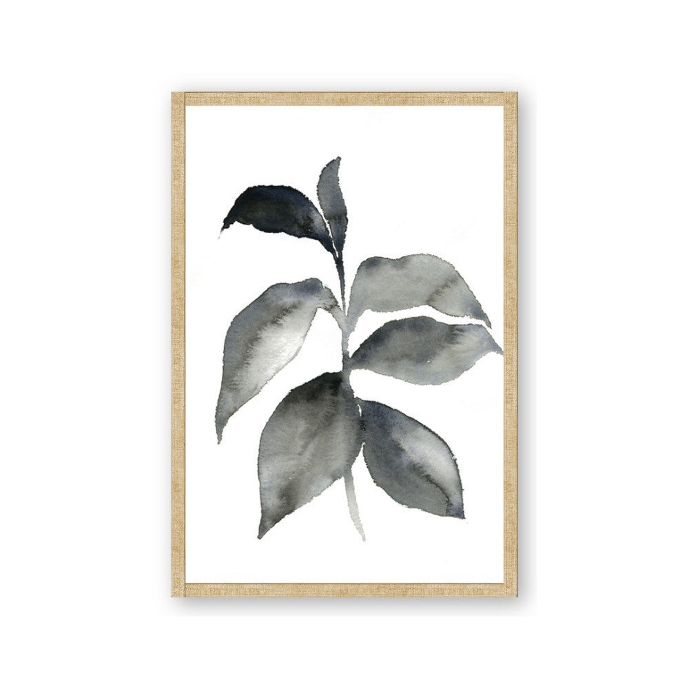 Black Watercolour Botanical II