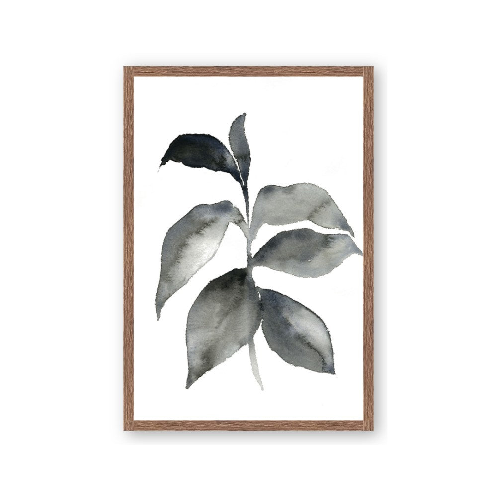 Black Watercolour Botanical II