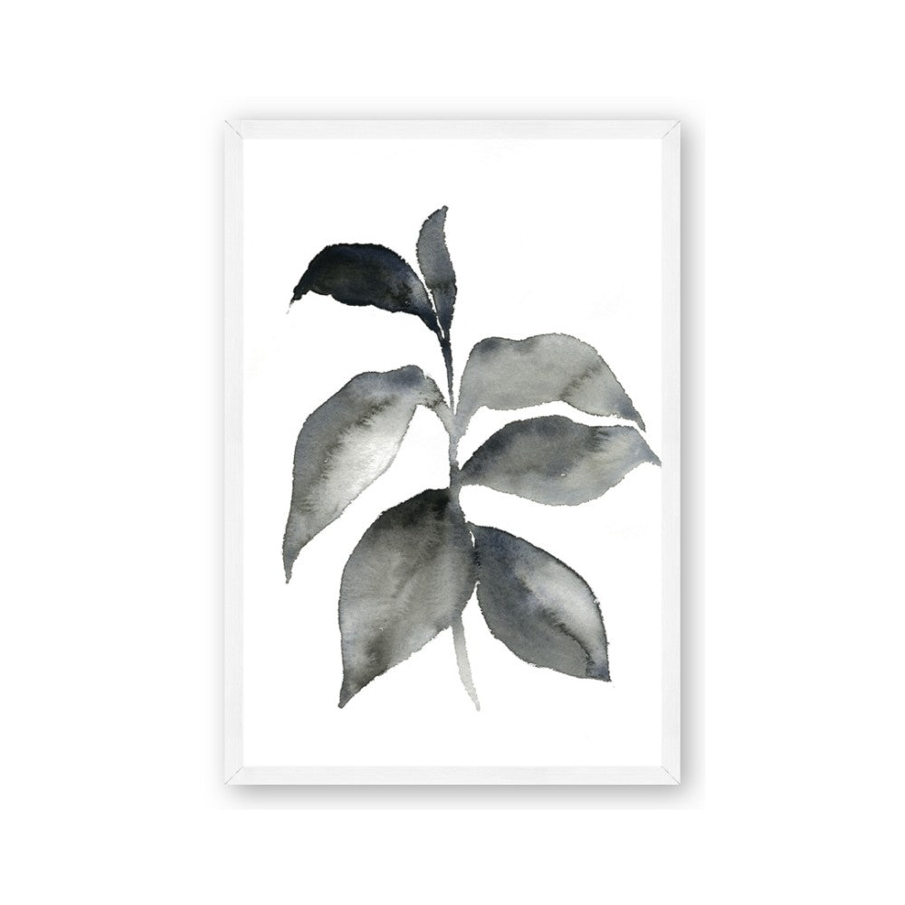 Black Watercolour Botanical II