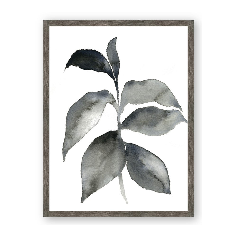 Black Watercolour Botanical II
