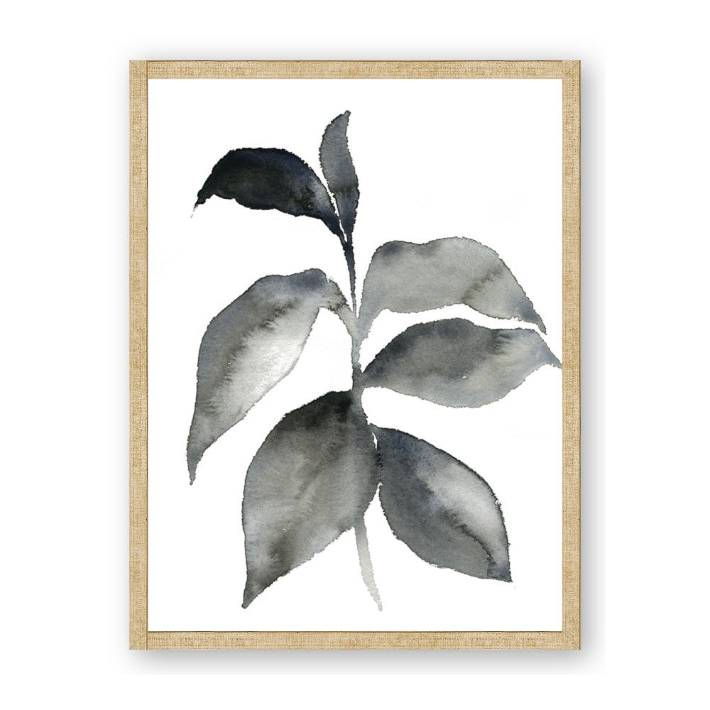 Black Watercolour Botanical II