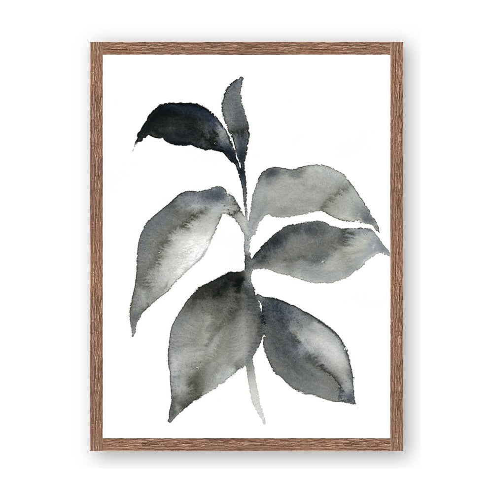 Black Watercolour Botanical II