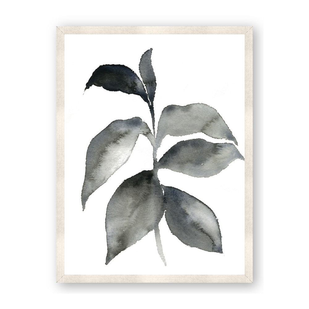 Black Watercolour Botanical II