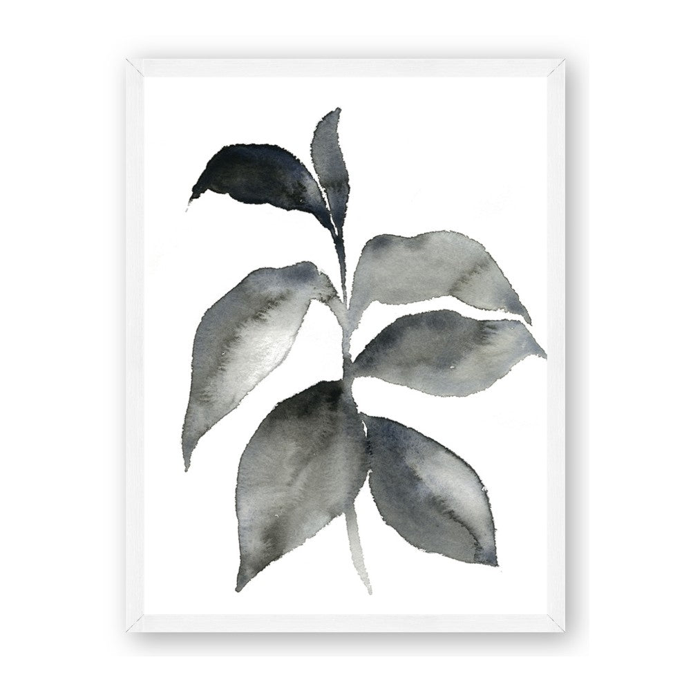 Black Watercolour Botanical II