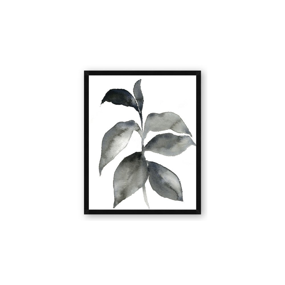 Black Watercolour Botanical II