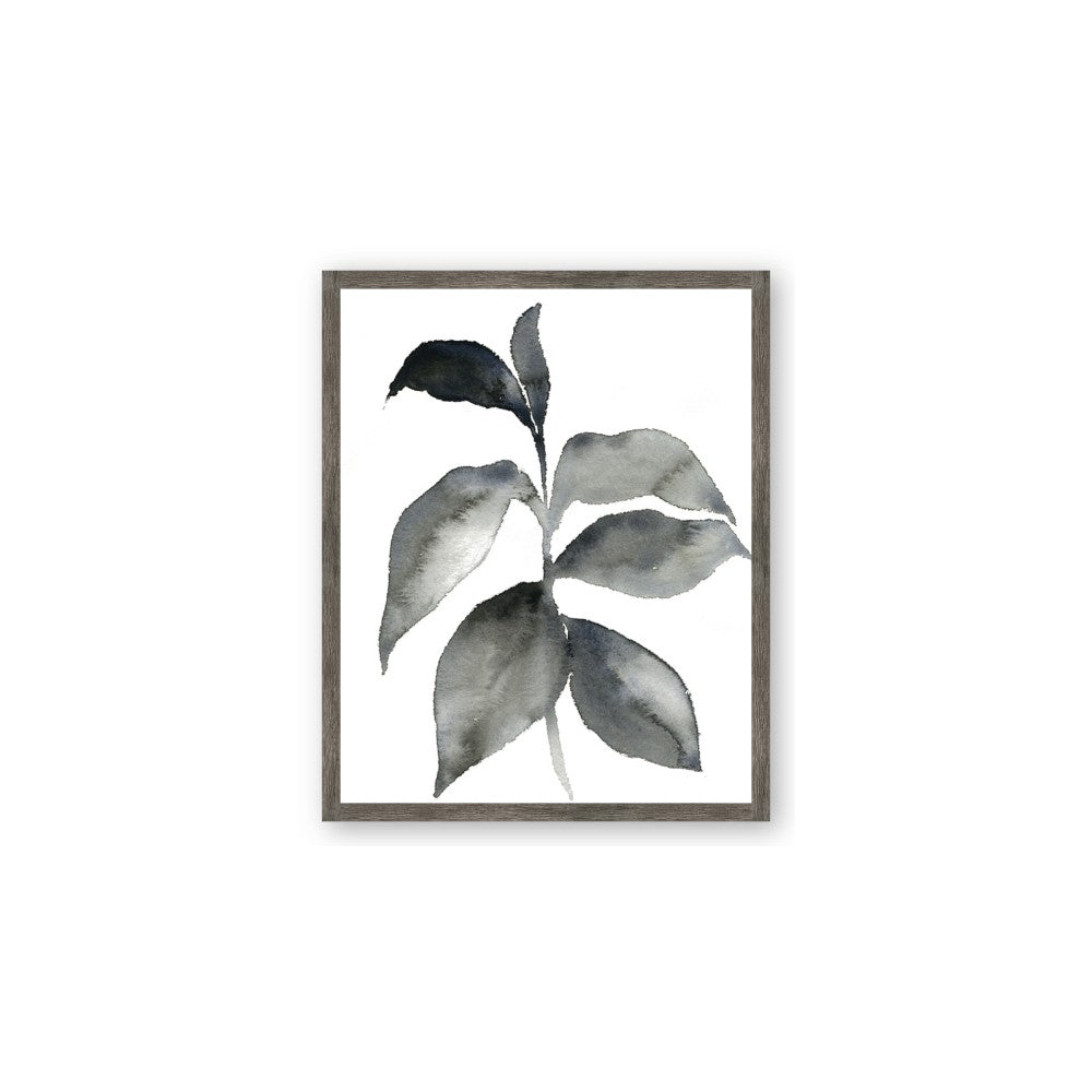 Black Watercolour Botanical II