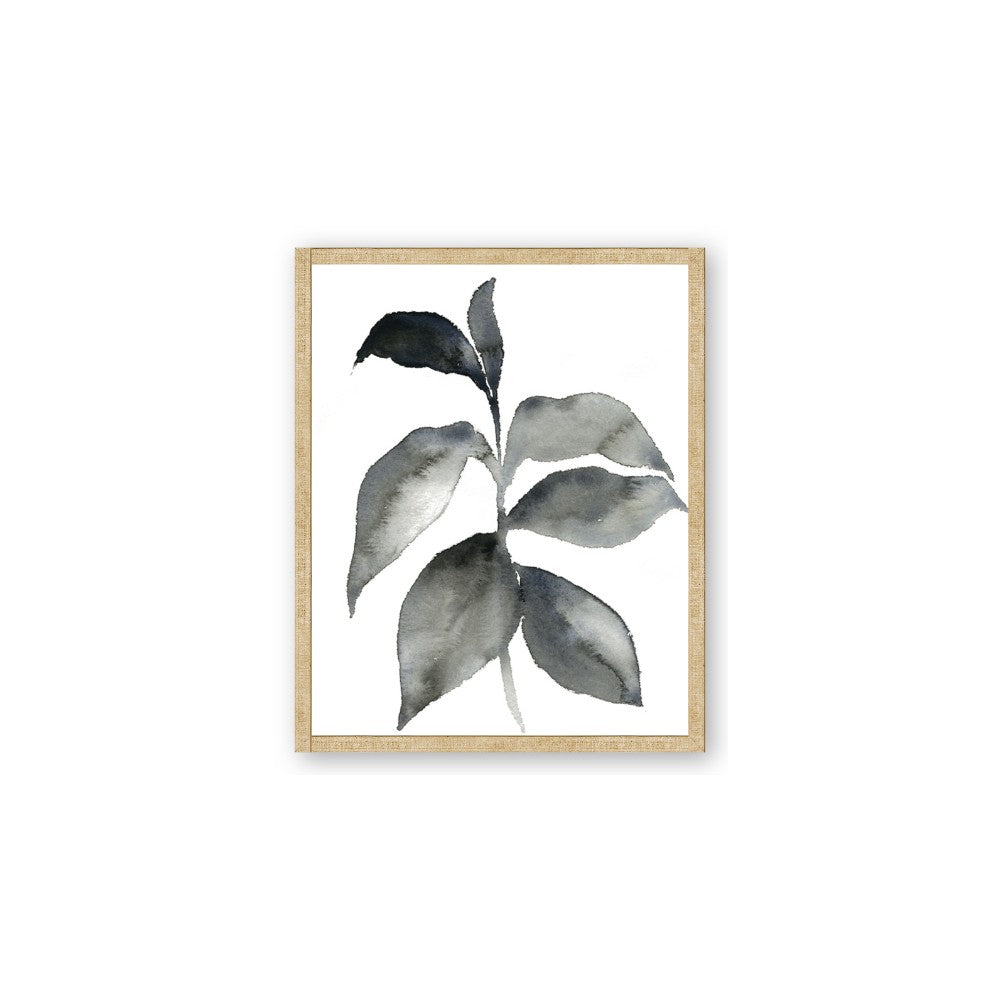 Black Watercolour Botanical II