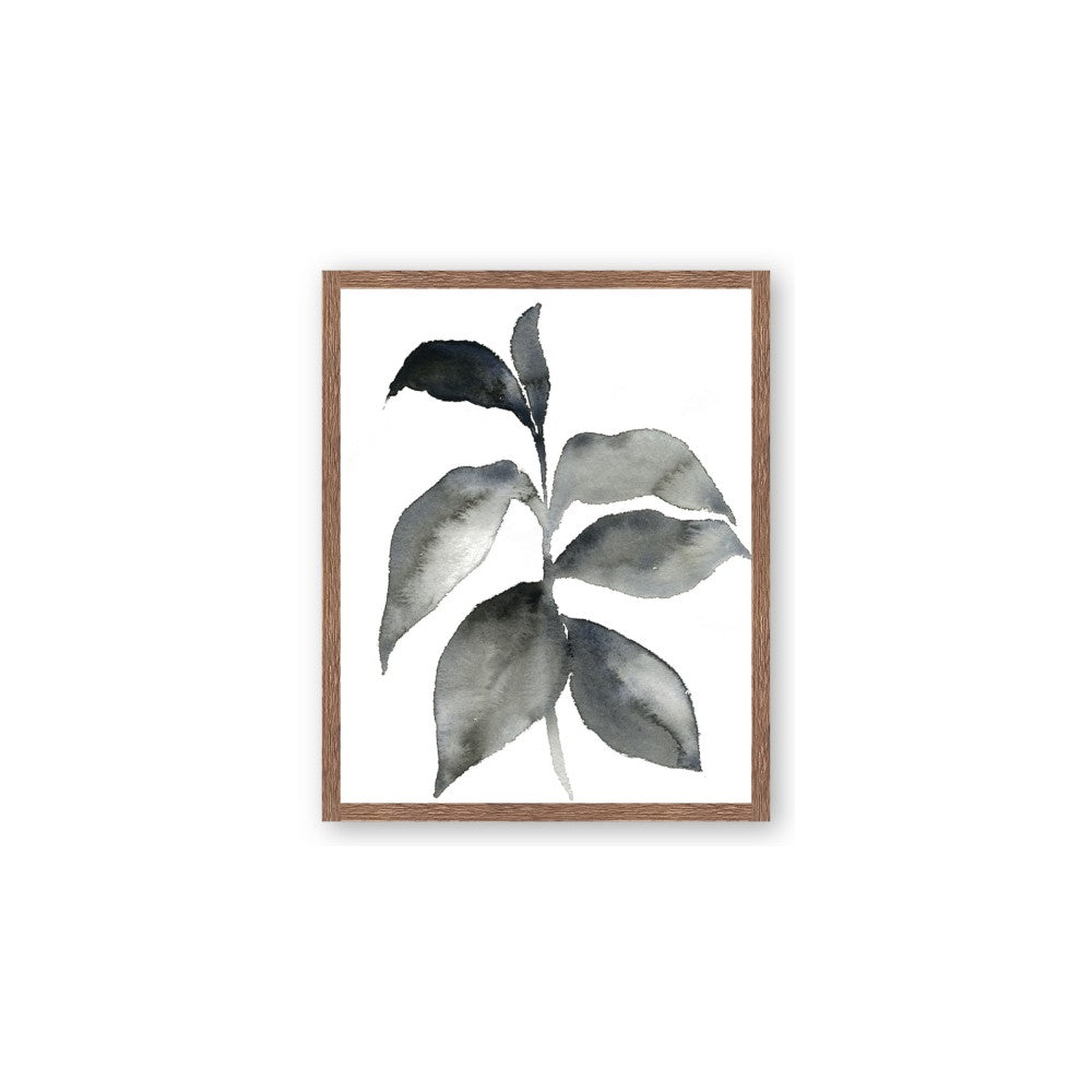Black Watercolour Botanical II