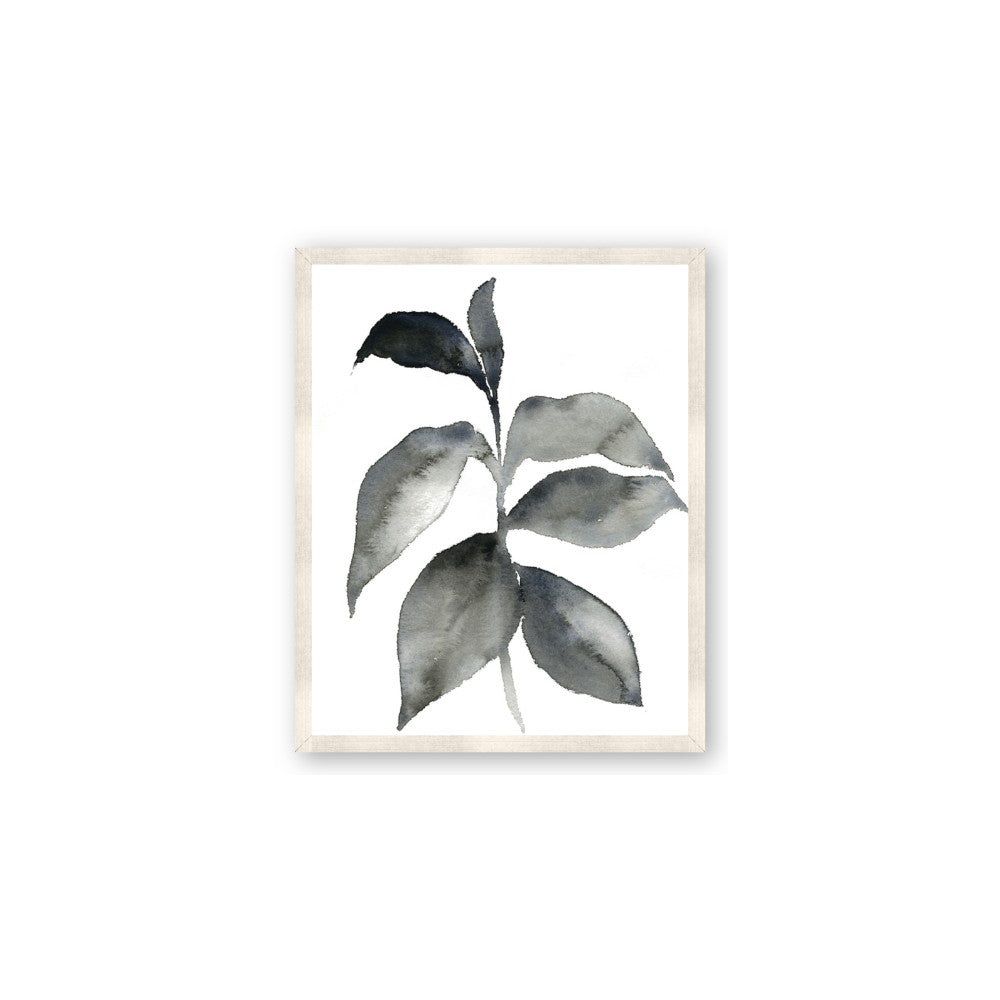 Black Watercolour Botanical II