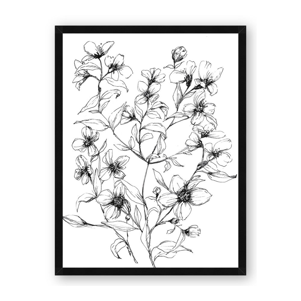Whimsy Botanical II