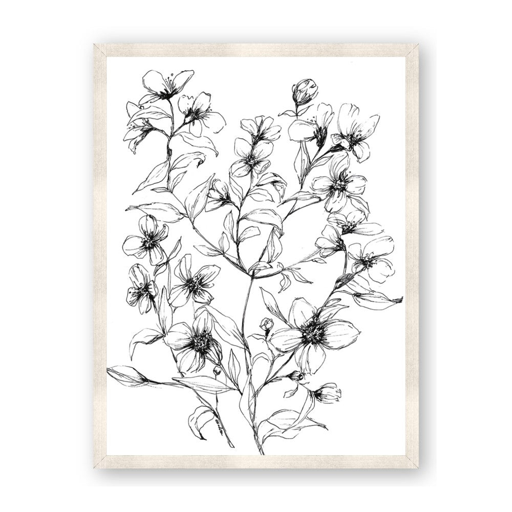 Whimsy Botanical II
