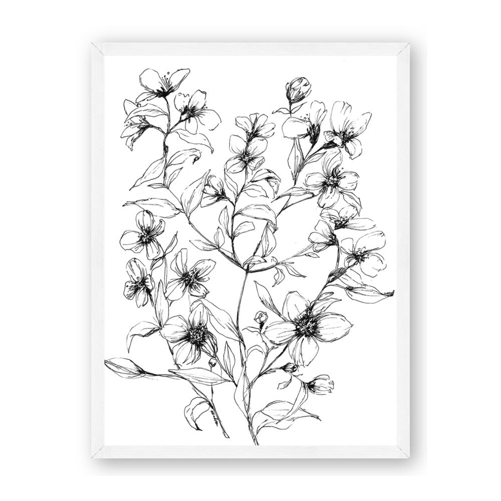 Whimsy Botanical II
