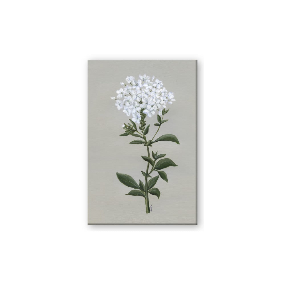 White flower I