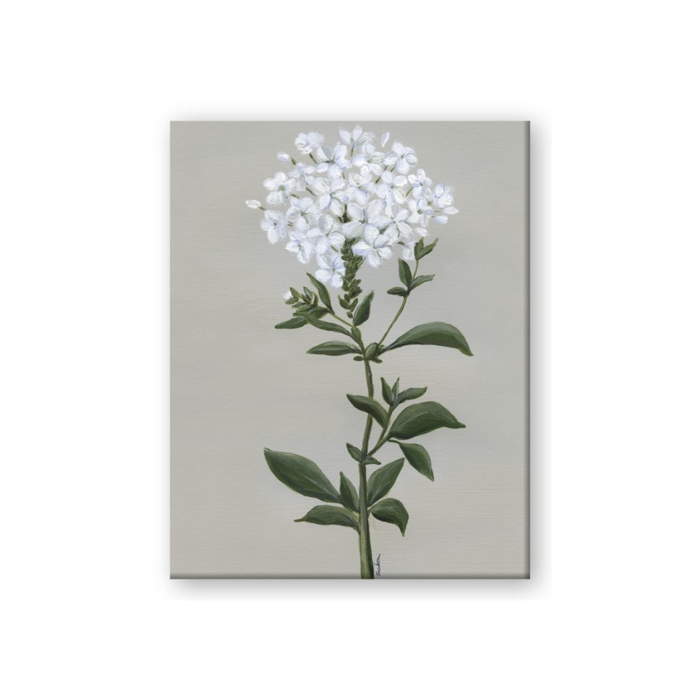 White flower I
