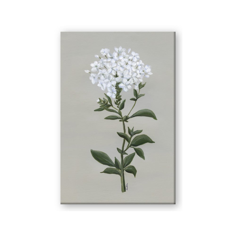 White flower I