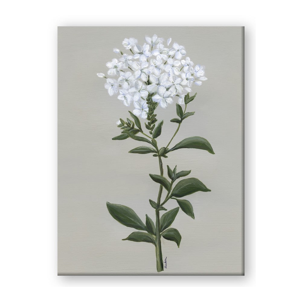 White flower I