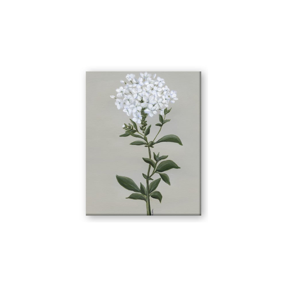 White flower I