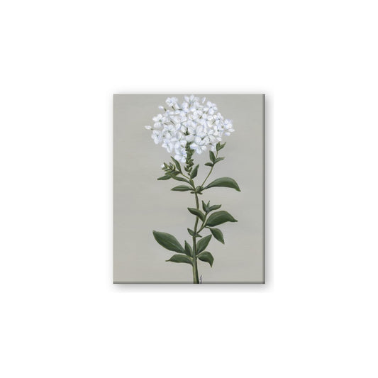 White flower I