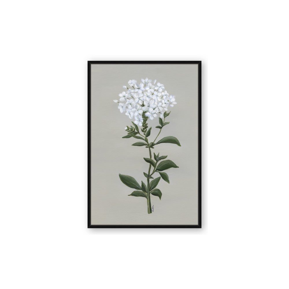 White flower I