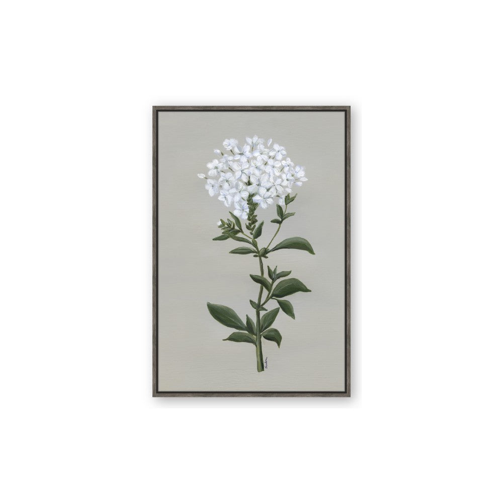 White flower I