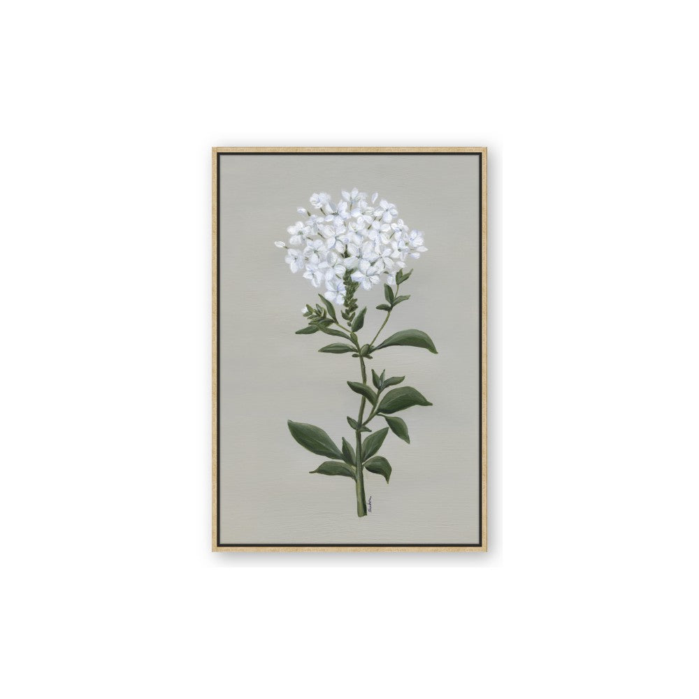 White flower I