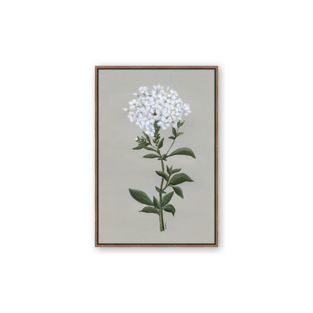 White flower I