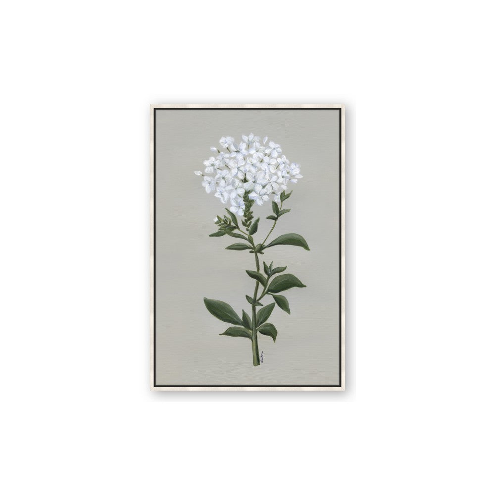White flower I