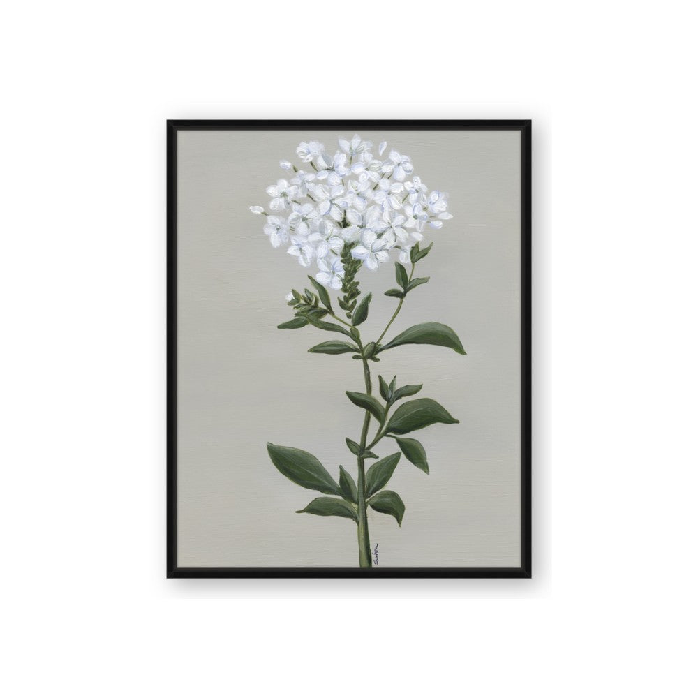 White flower I